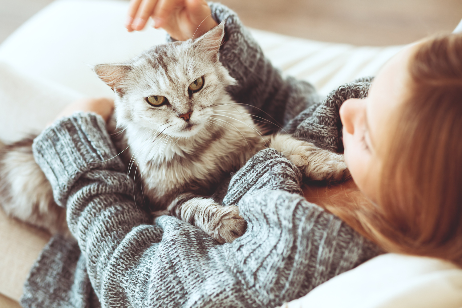 Home Cleaning Tips for Cat Owners